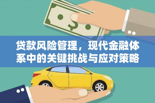 伊宁贷款风险管理，现代金融体系中的关键挑战与应对策略