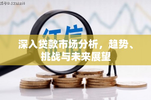 伊宁深入贷款市场分析，趋势、挑战与未来展望