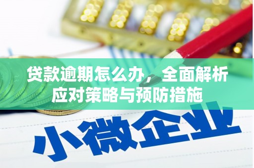 伊宁贷款逾期怎么办，全面解析应对策略与预防措施