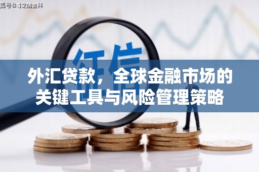 伊宁外汇贷款，全球金融市场的关键工具与风险管理策略