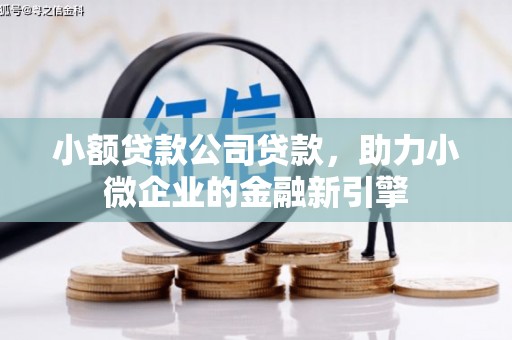 伊宁小额贷款公司贷款，助力小微企业的金融新引擎