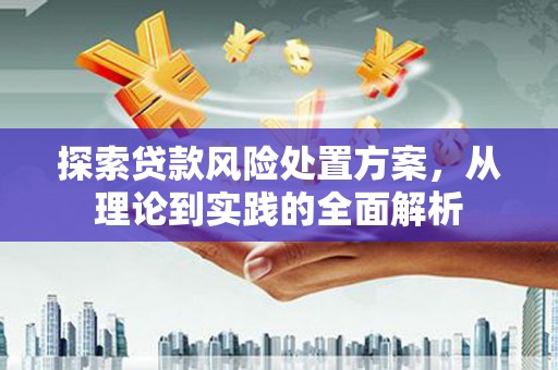 伊宁探索贷款风险处置方案，从理论到实践的全面解析