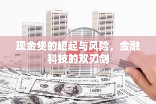 伊宁现金贷的崛起与风险，金融科技的双刃剑
