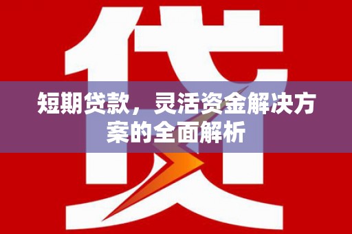 伊宁短期贷款，灵活资金解决方案的全面解析