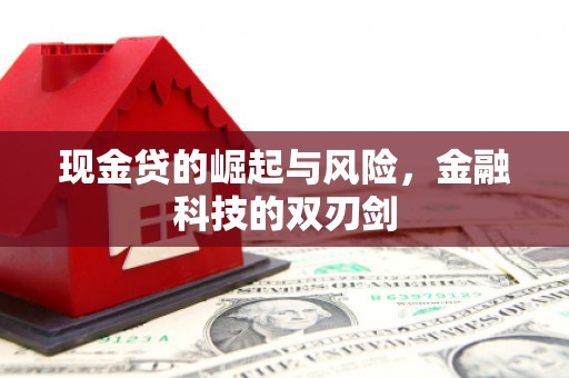 伊宁现金贷的崛起与风险，金融科技的双刃剑