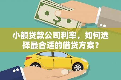 伊宁小额贷款公司利率，如何选择最合适的借贷方案？