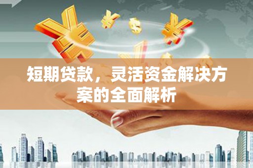 伊宁短期贷款，灵活资金解决方案的全面解析