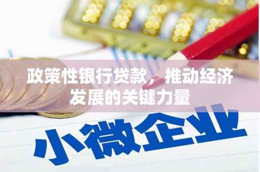 伊宁政策性银行贷款，推动经济发展的关键力量