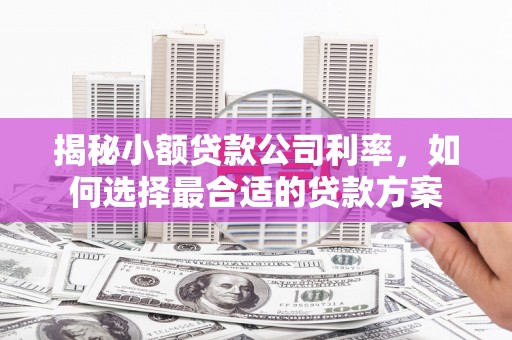 伊宁揭秘小额贷款公司利率，如何选择最合适的贷款方案