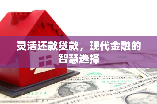 伊宁灵活还款贷款，现代金融的智慧选择