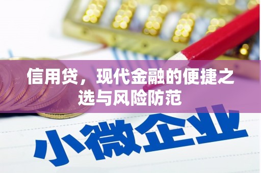 伊宁信用贷，现代金融的便捷之选与风险防范