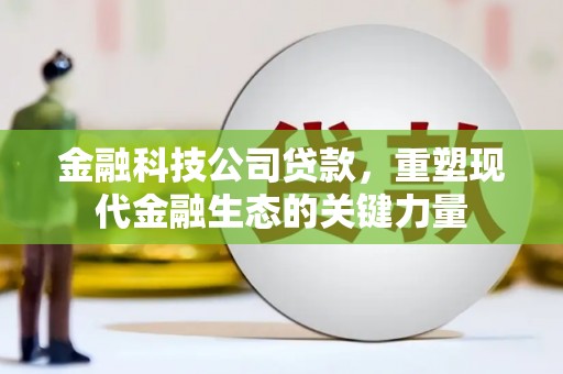 伊宁金融科技公司贷款，重塑现代金融生态的关键力量