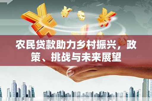 伊宁农民贷款助力乡村振兴，政策、挑战与未来展望