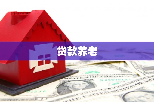 伊宁贷款养老