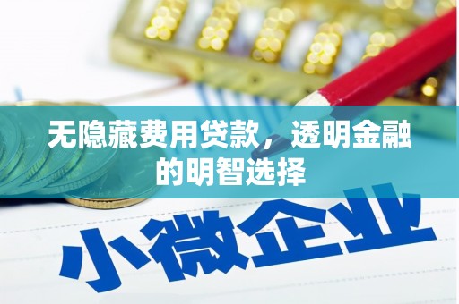 伊宁无隐藏费用贷款，透明金融的明智选择