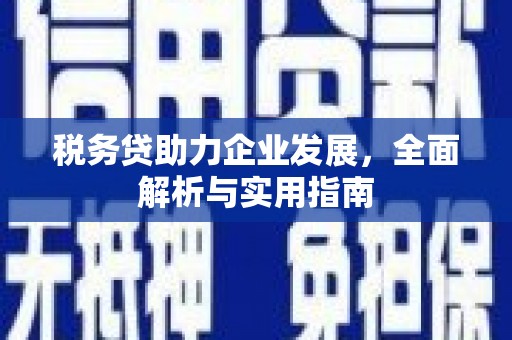 伊宁税务贷助力企业发展，全面解析与实用指南