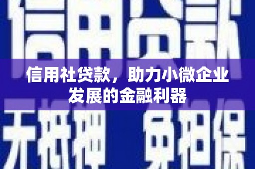 伊宁信用社贷款，助力小微企业发展的金融利器