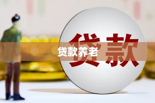 伊宁贷款养老