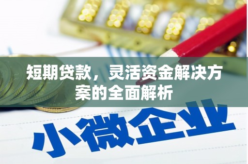 伊宁短期贷款，灵活资金解决方案的全面解析