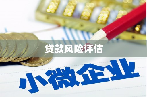 伊宁贷款风险评估