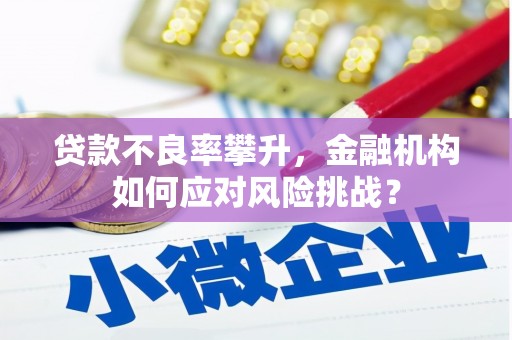 伊宁贷款不良率攀升，金融机构如何应对风险挑战？