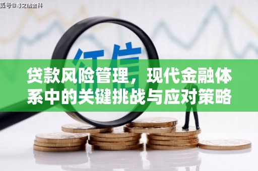 伊宁贷款风险管理，现代金融体系中的关键挑战与应对策略