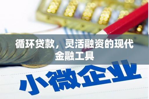 伊宁循环贷款，灵活融资的现代金融工具