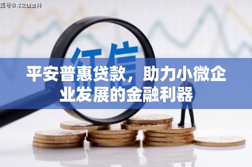 伊宁平安普惠贷款，助力小微企业发展的金融利器