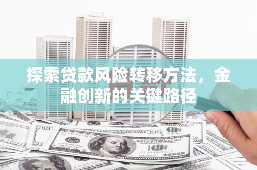 伊宁探索贷款风险转移方法，金融创新的关键路径