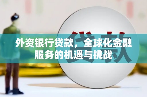 伊宁外资银行贷款，全球化金融服务的机遇与挑战
