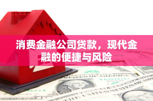 伊宁消费金融公司贷款，现代金融的便捷与风险