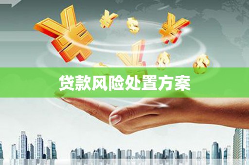 伊宁贷款风险处置方案