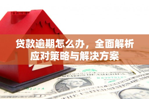 伊宁贷款逾期怎么办，全面解析应对策略与解决方案