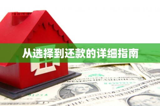 伊宁从选择到还款的详细指南