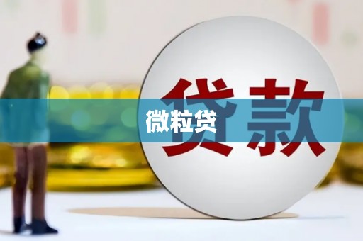 伊宁微粒贷