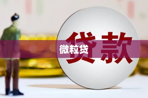 伊宁微粒贷